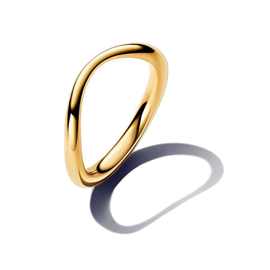Luxury Minimalist Stylish Ring